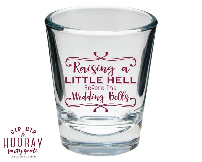 Raising a Little Hell Bachelorette Shot Glasses #1653